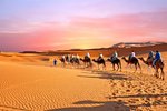 Hotel Maroko – královská města a Sahara (8 dní) dovolená