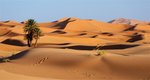 Hotel Velký okruh Marokem – Sahara, Marrákeš a Atlantik (11 dní) dovolená