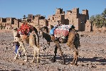 Hotel Okruh Marockým královstvím mezi Saharou, Atlasem a Atlantikem dovolená
