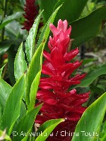 Hotel Réunion a Mauricius – turistika a koupání dovolená