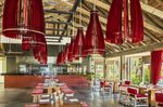 Restaurace