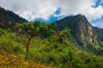 Divoká příroda pohoří Sierra Madre del Sur