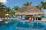 Swim up bar