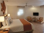 Mexiko, Quintana Roo, Playa del Carmen - REEF PLAYACAR