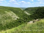 Hotel Vinobraní v Moldavsku a Podněstří dovolená