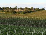 Hotel Vinobraní v Moldavsku a Podněstří dovolená