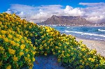 Mosambik, Mosambik, Vnitrozemí, Vnitrozemí, Jihoafrická republika - Jižní Afrika, Mosambik & Svazijsko