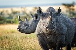 Mosambik, Mosambik, Vnitrozemí, Vnitrozemí, Jihoafrická republika - Jižní Afrika, Mosambik & Svazijsko
