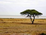 NP Etosha 8