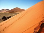 Poust Namib 2