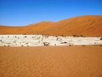 Poust Namib 6