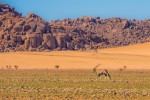 Hotel Na skok do Namibie - dechberoucí kaňony a pouště dovolená