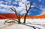 Namibia, Vnitrozemí, Vnitrozemí - Namibie - svůdná a nepoznaná