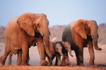 Namibia, Vnitrozemí, Vnitrozemí - Namibie - svůdná a nepoznaná