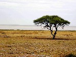 NP Etosha 8
