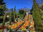 Italienische Wassertreppe © Insel Mainau