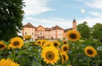 Mainau_Jahresfoto_2019 © Insel Mainau