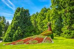 Hotel Bodamské jezero – Mainau, Rýnské vodopády, Lindau dovolená