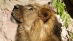 Hotel Delfinárium a ZOO Norimberk pro celou rodinu dovolená