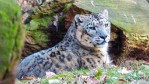 Hotel Delfinárium a ZOO Norimberk pro celou rodinu dovolená