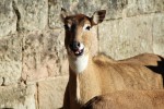 Hotel Delfinárium a ZOO Norimberk pro celou rodinu dovolená