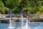 Hotel Delfinárium a ZOO Norimberk pro celou rodinu dovolená