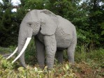 NĚMECKÝ LEGOLAND a norimberská zoo s delfináriem elephant-172277_960_720 