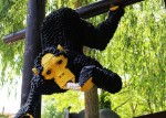 NĚMECKÝ LEGOLAND a norimberská zoo s delfináriem lego-2449343_960_720 