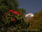 Hotel Nepál – treking okolo Manaslu dovolená