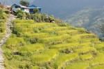 Hotel Vánoce a Silvestr s turistikou v Nepálu dovolená