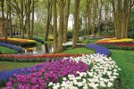 Nizozemsko, Amsterdam a okolí, Amsterdam - Holandsko