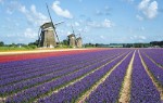 Nizozemsko, Amsterdam a okolí, Amsterdam - Holandsko