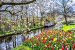 Dechberoucí květinová zahrada Keukenhof