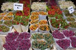 Nizozemí - květinový trh v Amsterdamu