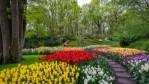 Keukenhof
