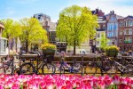 Keukenhof