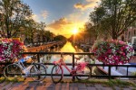 Hotel Květinový park Keukenhof a procházka Amsterdamem dovolená