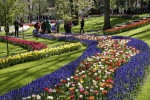 Hotel Květinový park Keukenhof a procházka Amsterdamem dovolená