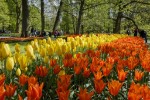 Hotel Květinový park Keukenhof a procházka Amsterdamem dovolená