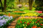 Hotel Květinový park Keukenhof a procházka Amsterdamem dovolená