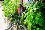 Kodaň je městem cyklistů ale i Svobodného státu Christiania