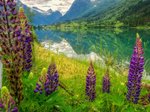 Hotel Zlatá cesta severu a srdce norských fjordů - letecká doprava dovolená