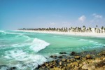 Omán, Omán, Muscat - Al Falaj Hotel (Muscat) - Pláž