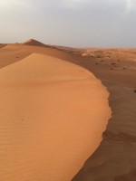 Omán, Ash Sharqiyah	, Wahiba Sands - DESERT PALM OMAN