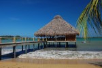 Panama, Bocas del Toro, Isla de Colón - PLAYA TORTUGA BEACH & RESORT