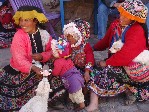 Poznávací zájezd po Peru, Dovolená s CK Geovita