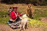 Geovita_Peru 1