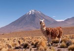Peru1