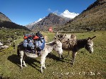 Hotel Peru – treking pod Huascaránem dovolená