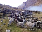Hotel Peru – treking pod Huascaránem dovolená